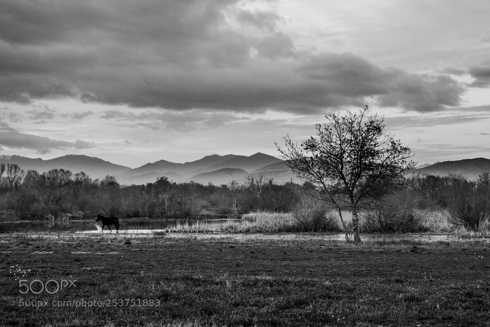 Canon EOS 800D (EOS Rebel T7i / EOS Kiss X9i) sample photo. Landscape photography