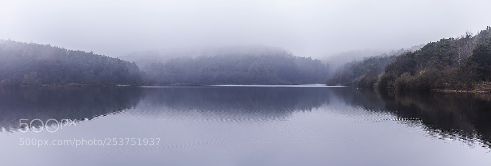 Canon EOS 5D Mark II sample photo. A foggy day (part 4) photography