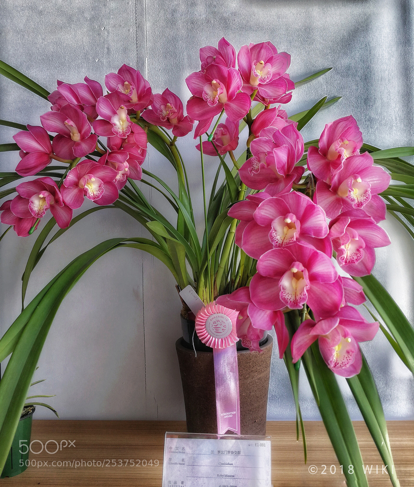 HUAWEI Mate 9 sample photo. Orchid photography