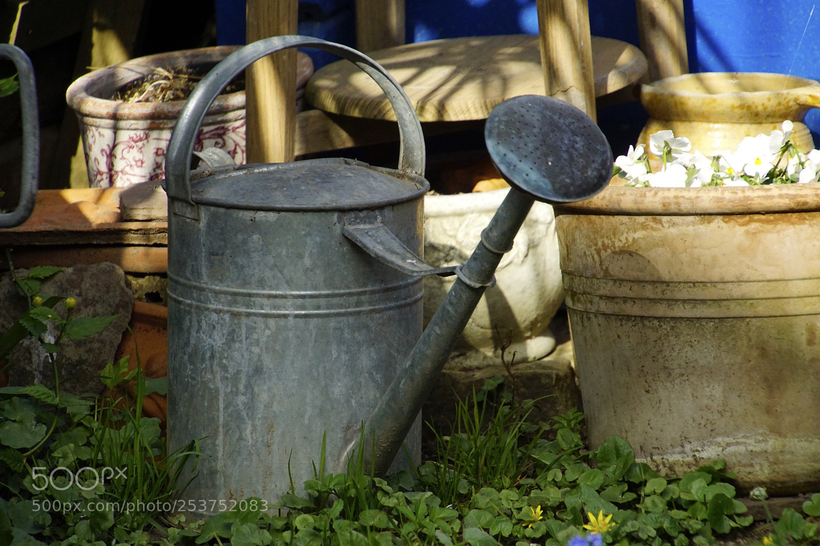 Sony ILCA-77M2 sample photo. Untitled photography