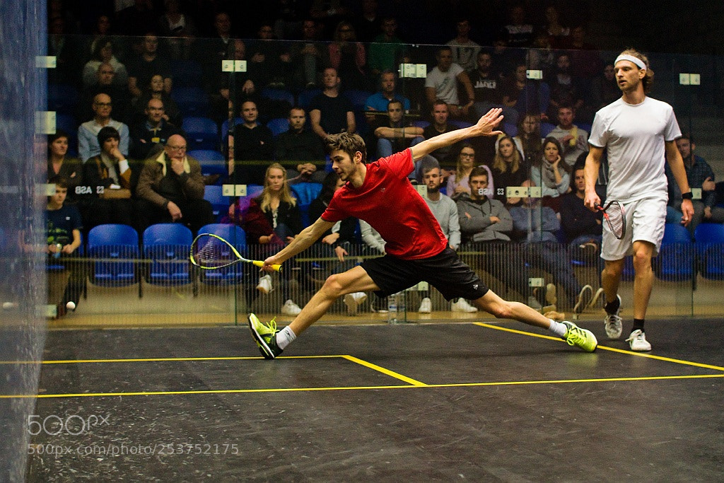Sony SLT-A77 sample photo. Squash photography