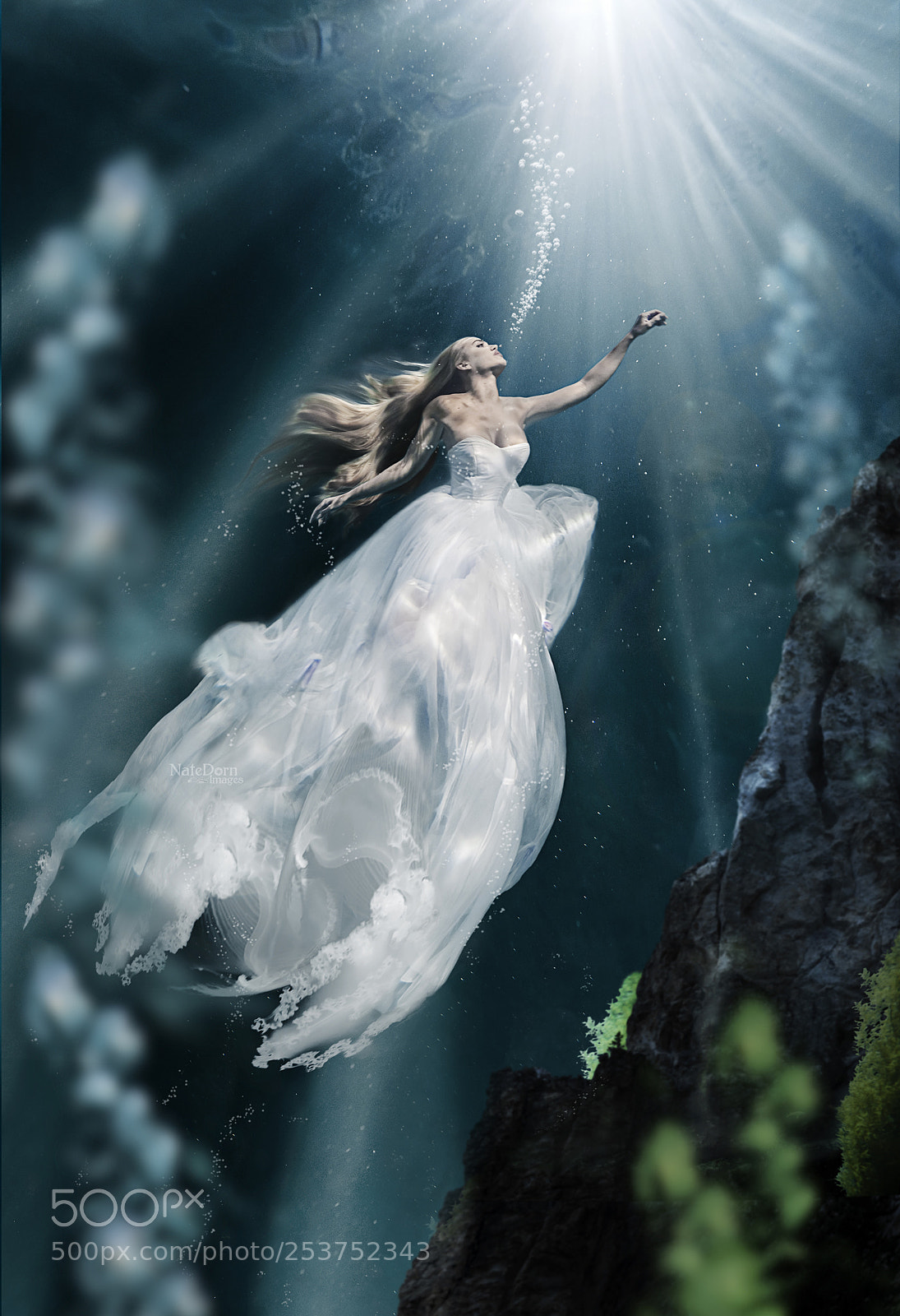Canon EOS 5D Mark II sample photo. "emergence" photography