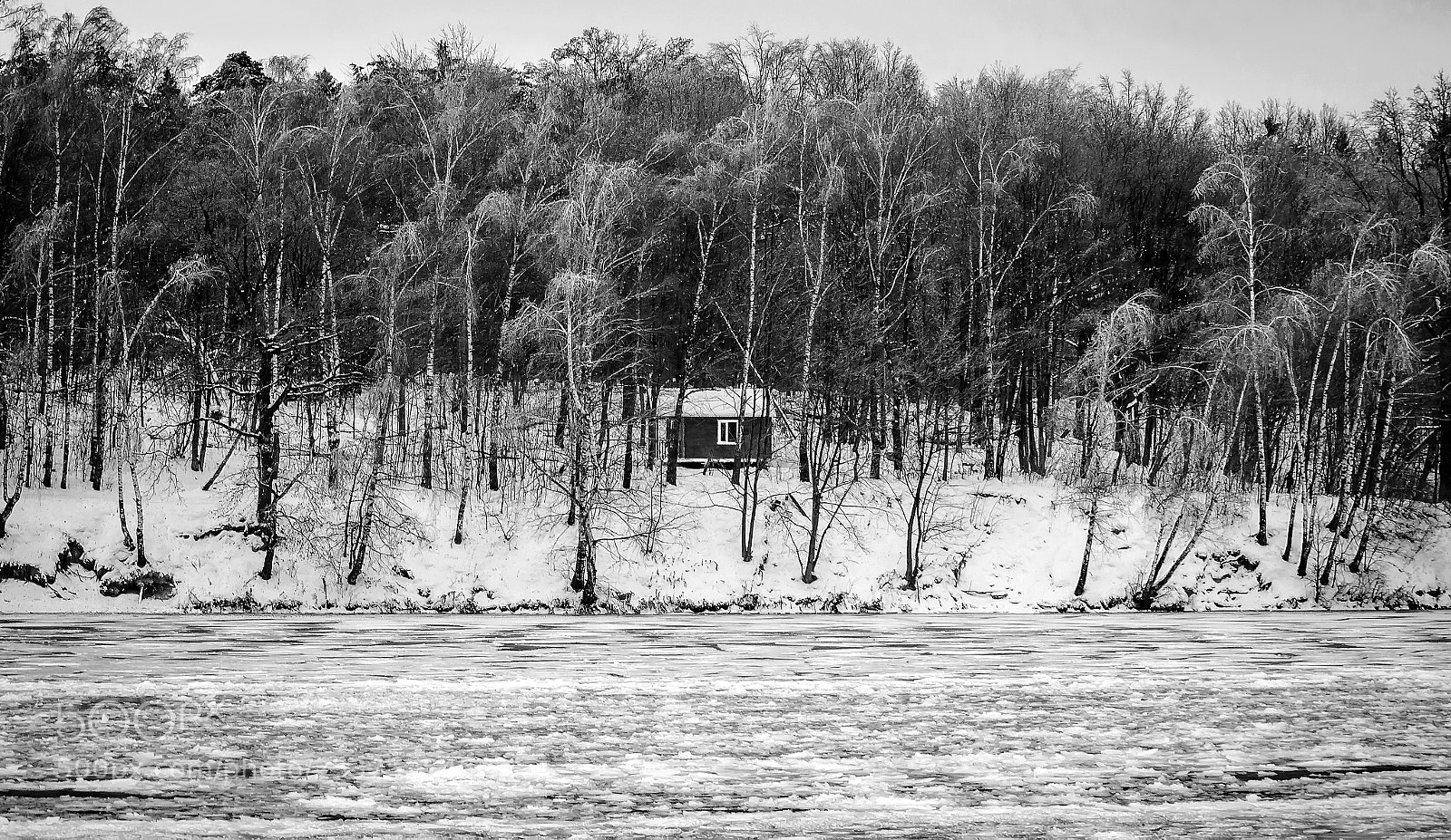 Nikon D5100 sample photo. зима photography