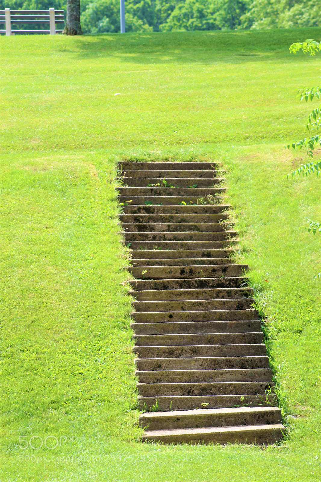 Canon EOS 1300D (EOS Rebel T6 / EOS Kiss X80) sample photo. Stairs to ????? photography