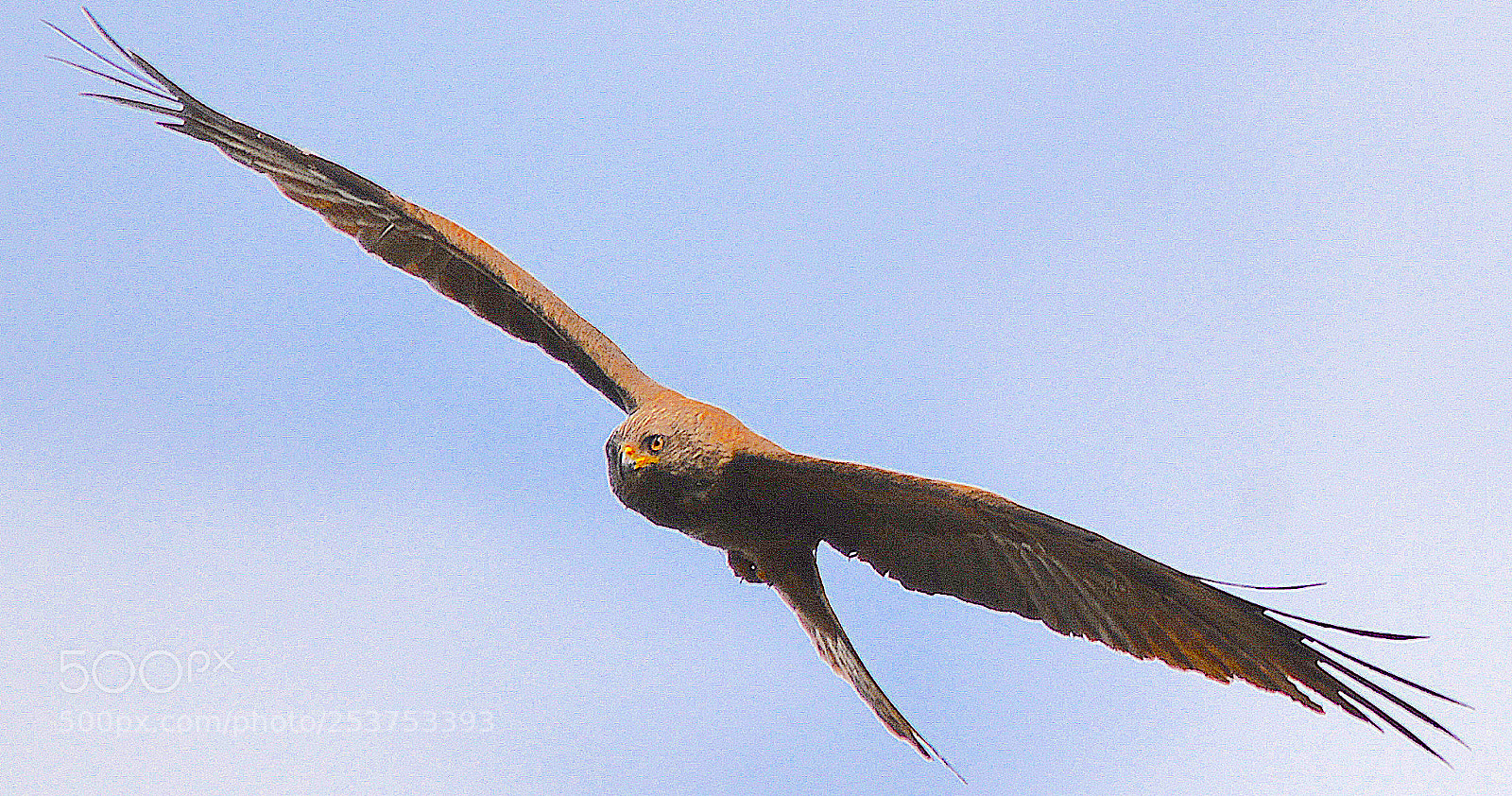 Nikon D7100 sample photo. Milan  geneva 14 april 18 photography