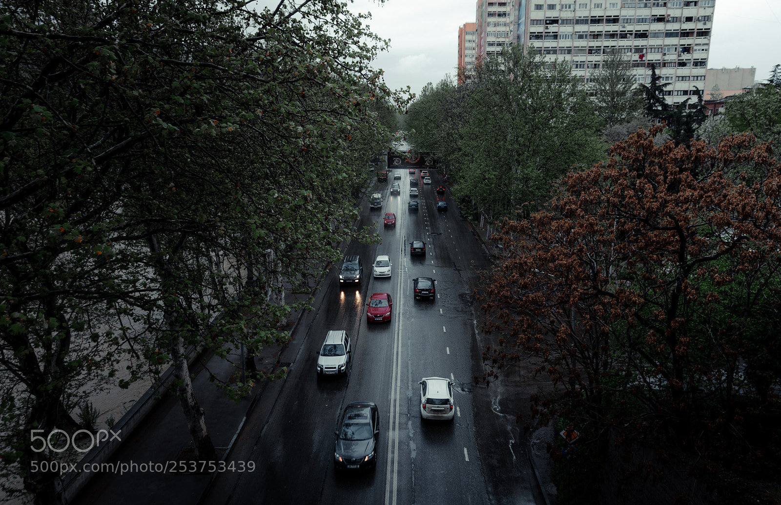 Nikon D7000 sample photo. «rainy mood» photography