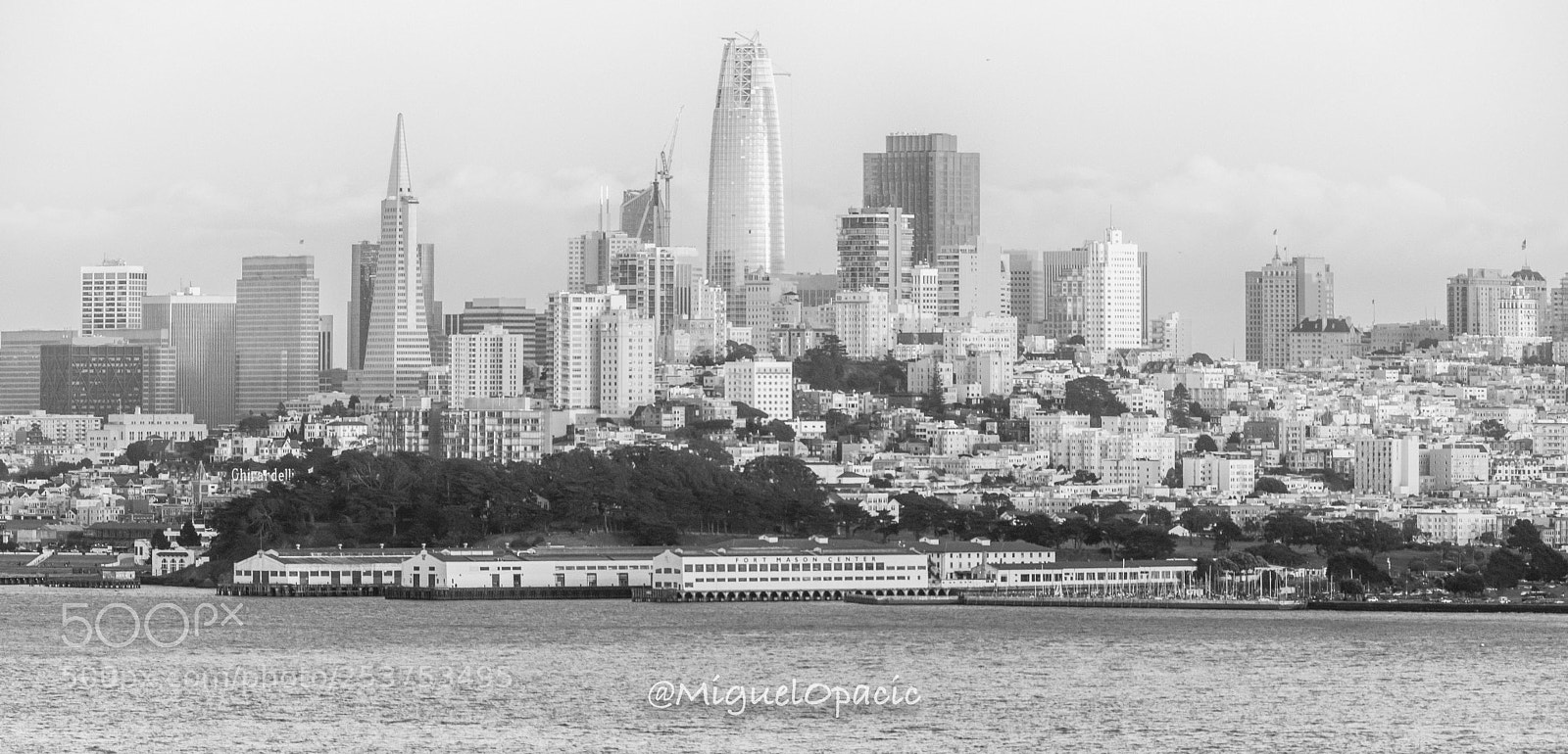Nikon D810 sample photo. San francisco, ca photography