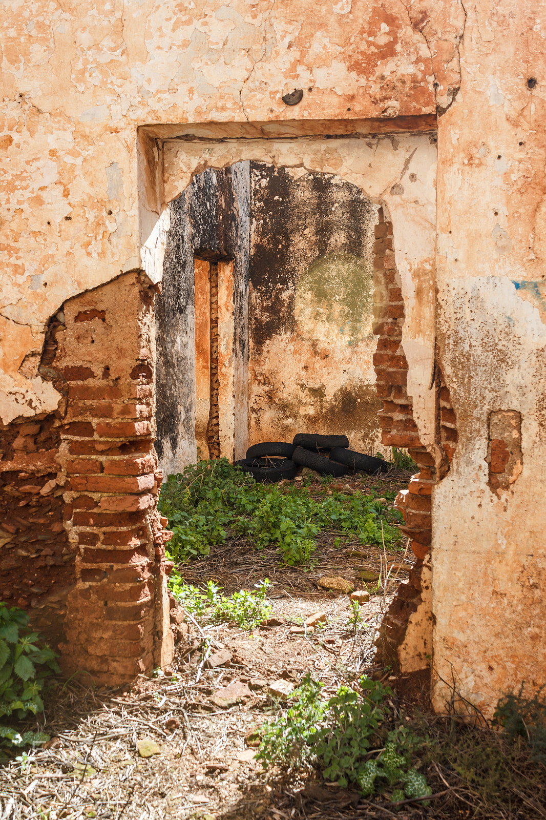 Canon EOS 600D (Rebel EOS T3i / EOS Kiss X5) sample photo. Frame in ruin photography