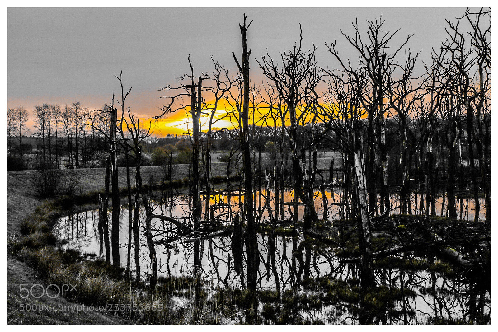 Canon EOS 70D sample photo. Rotbach i photography