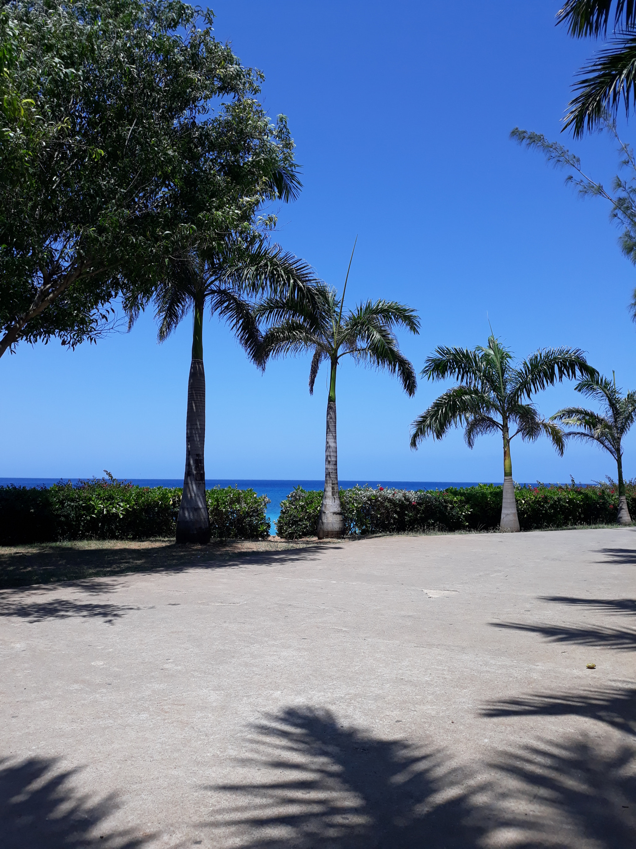 Samsung Galaxy J5 Pro sample photo