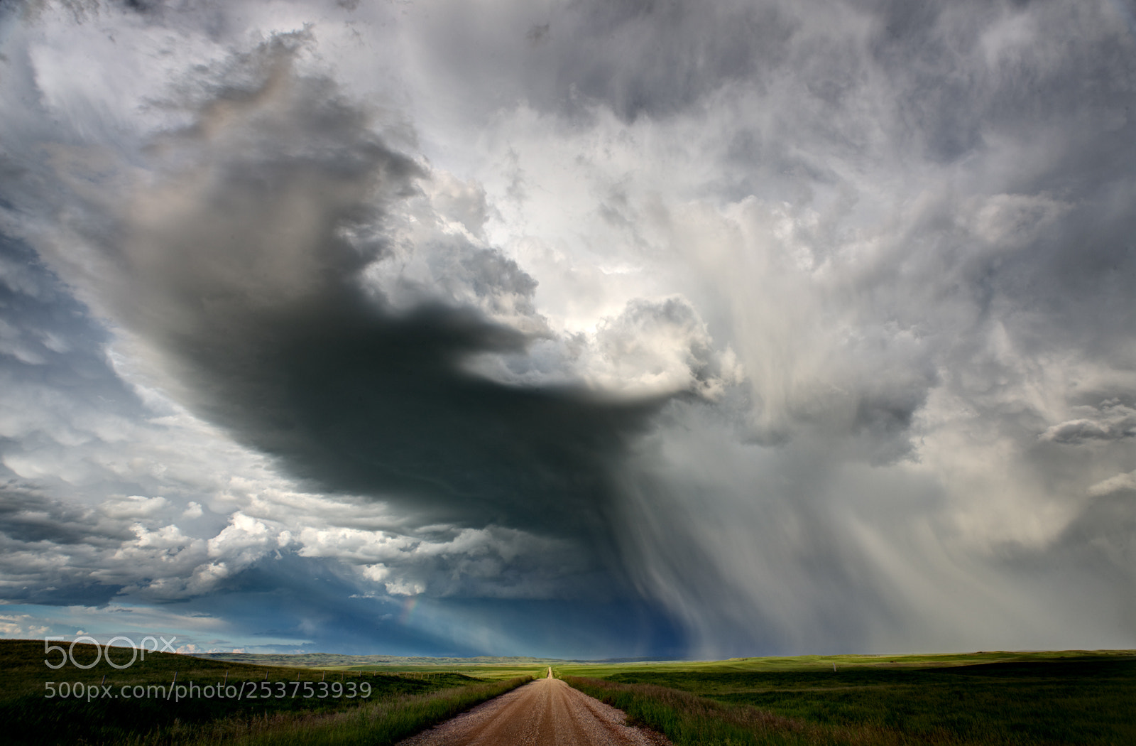 Canon EOS-1Ds Mark III sample photo. Sweeping hail photography