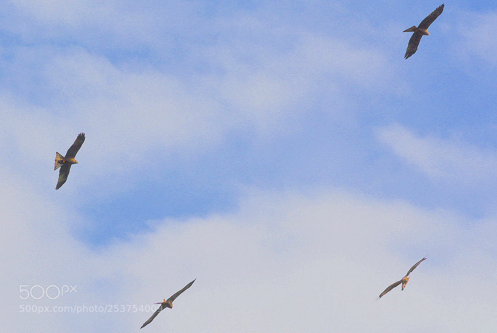 Nikon D7100 sample photo. Milan  geneva 14 april 18 photography