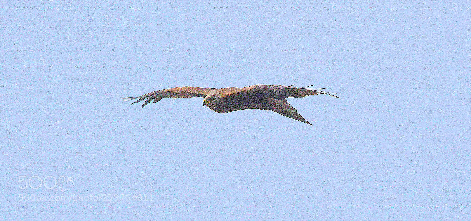 Nikon D7100 sample photo. Milan  geneva 14 april 18 photography