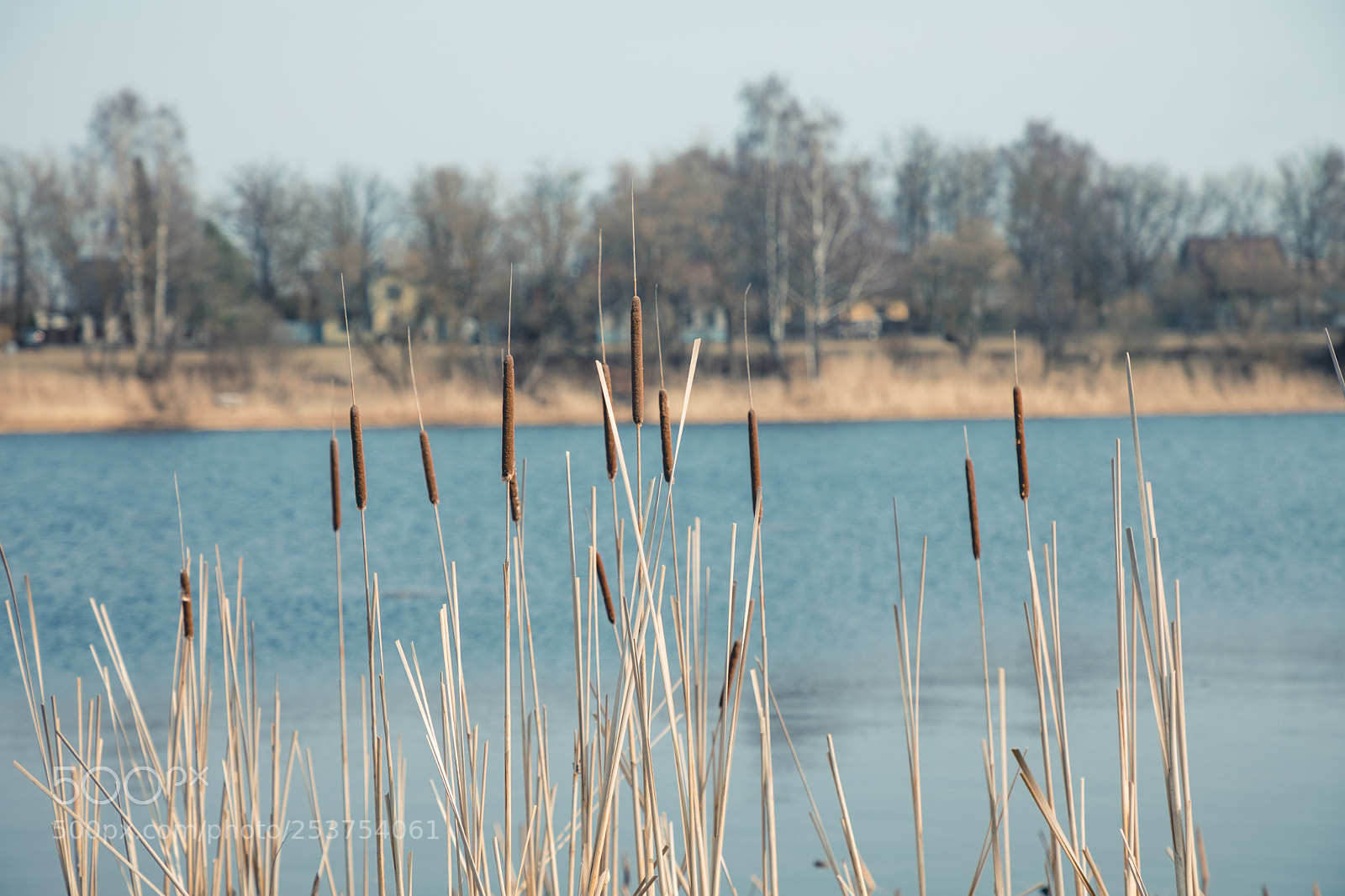 Canon EOS 5D Mark IV sample photo. Pärnu river photography