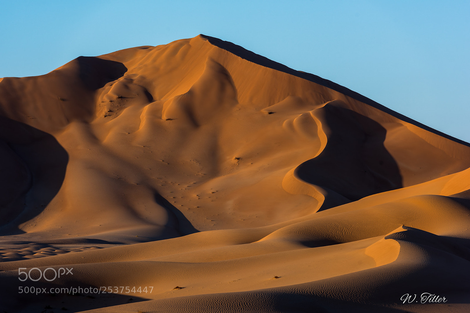 Nikon D810 sample photo. Rub al-kahli photography