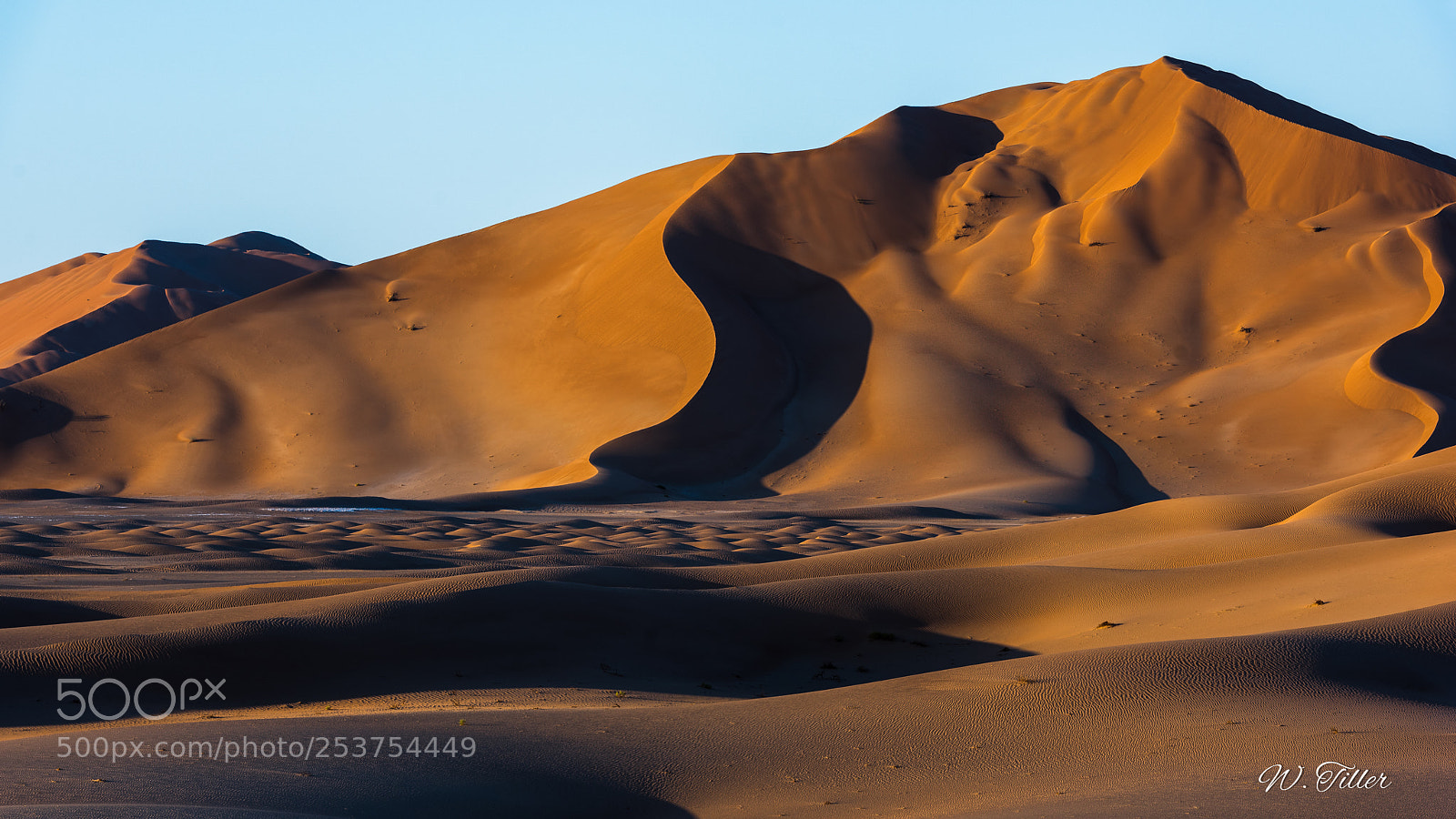 Nikon D810 sample photo. Rub al-kahli photography