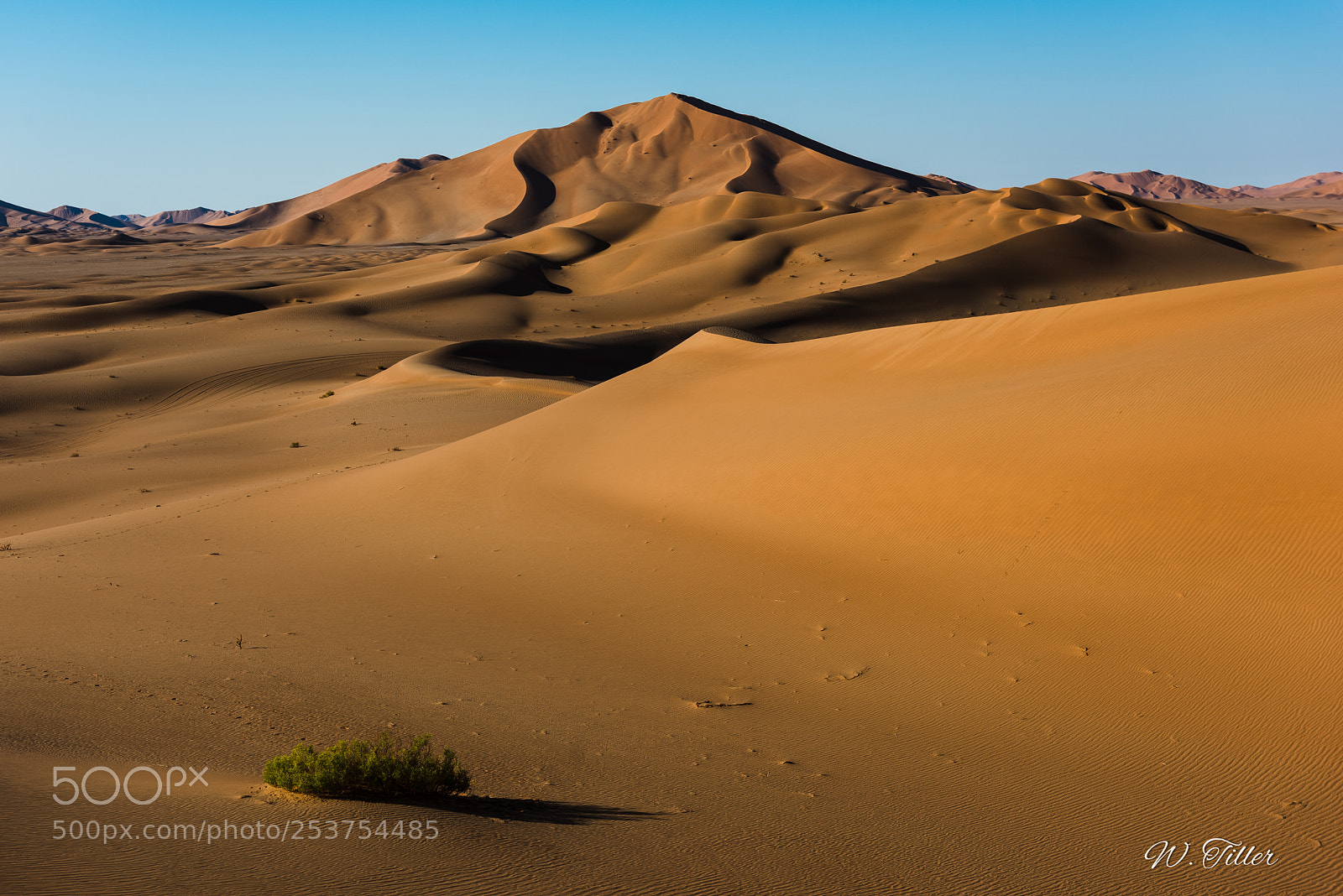 Nikon D810 sample photo. Rub al-kahli photography