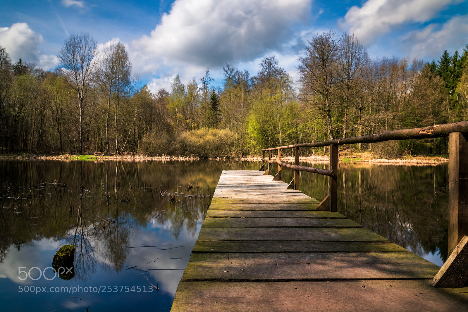 Canon EOS 80D sample photo. Jetty in spring photography