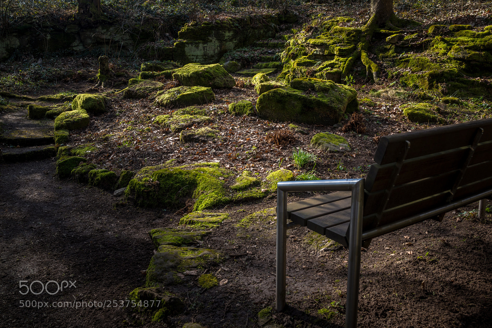 Sony Cyber-shot DSC-RX1 sample photo. Wooden bench in a photography