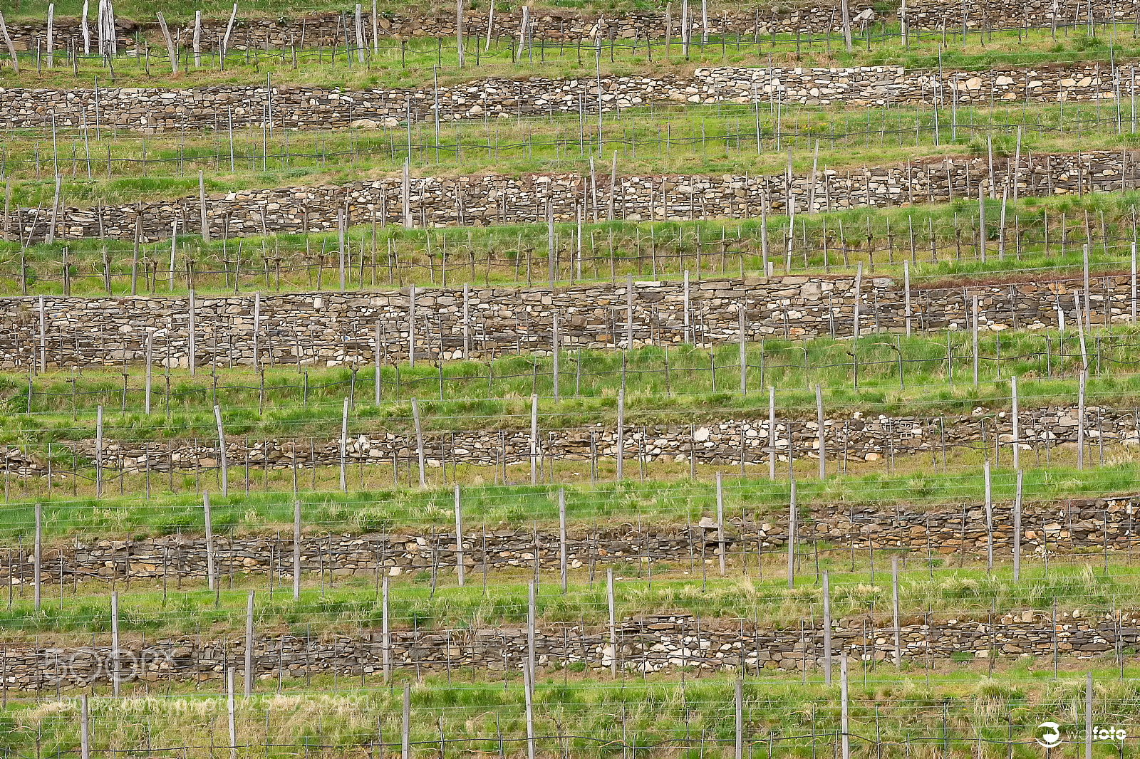Nikon D7100 sample photo. Stripes photography