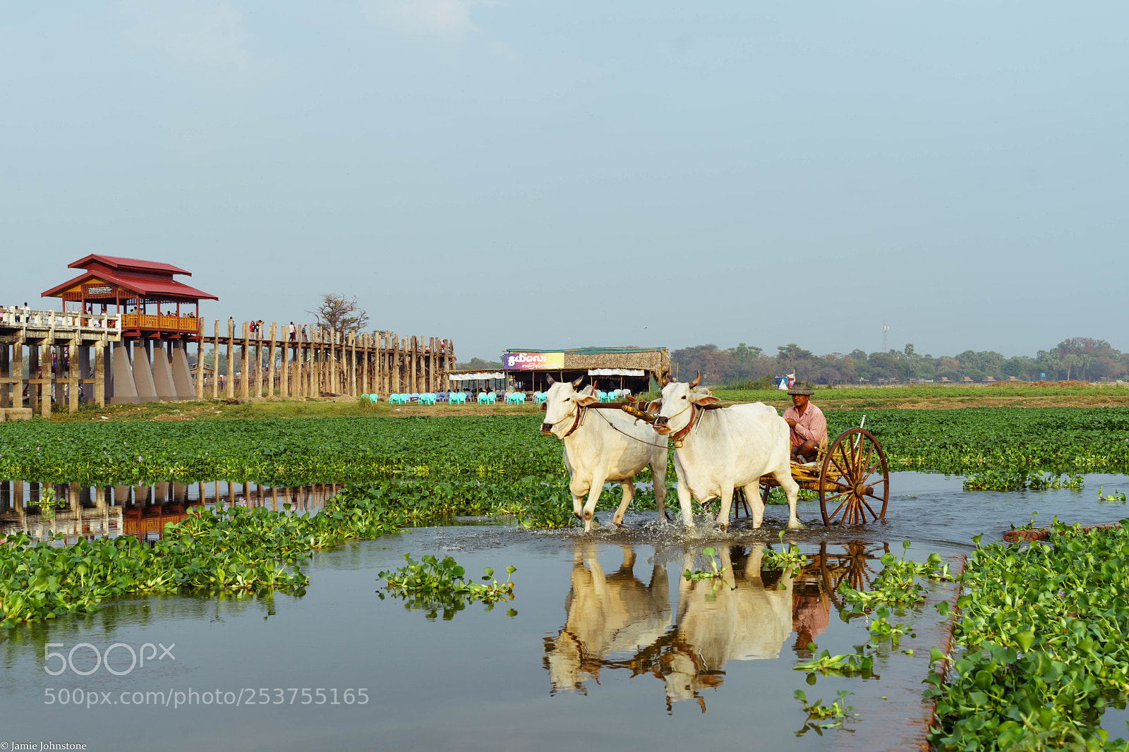 Sony a7 II sample photo. Reflection photography