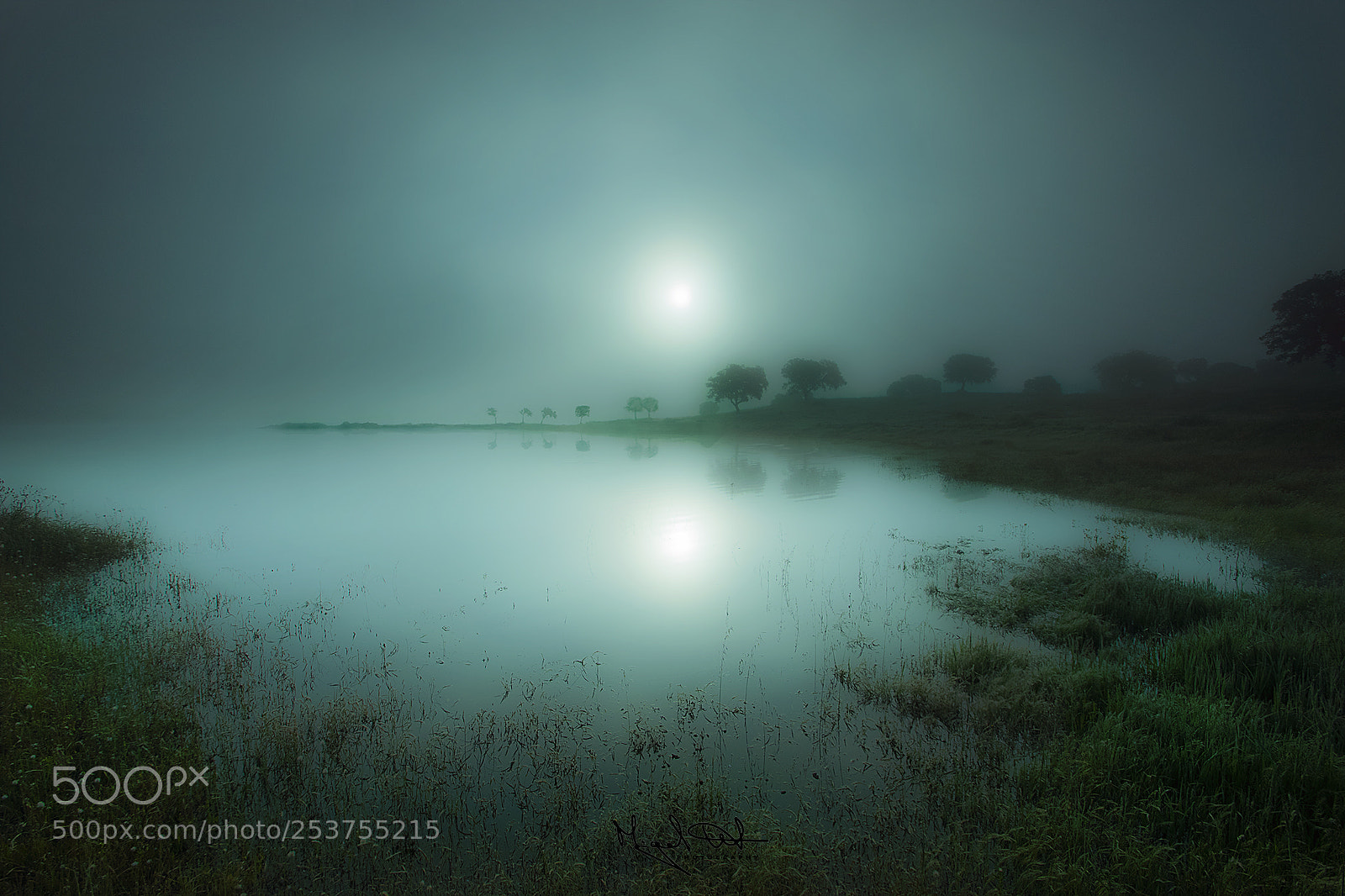 Canon EOS 80D sample photo. Morning fog photography