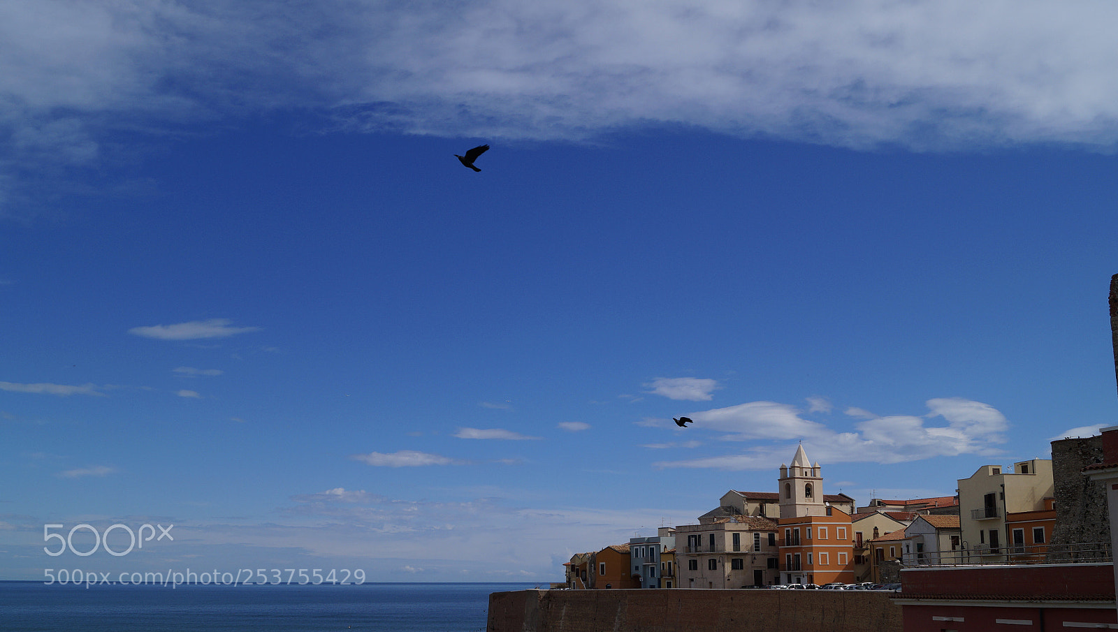 Sony SLT-A58 sample photo. Very blue sky photography