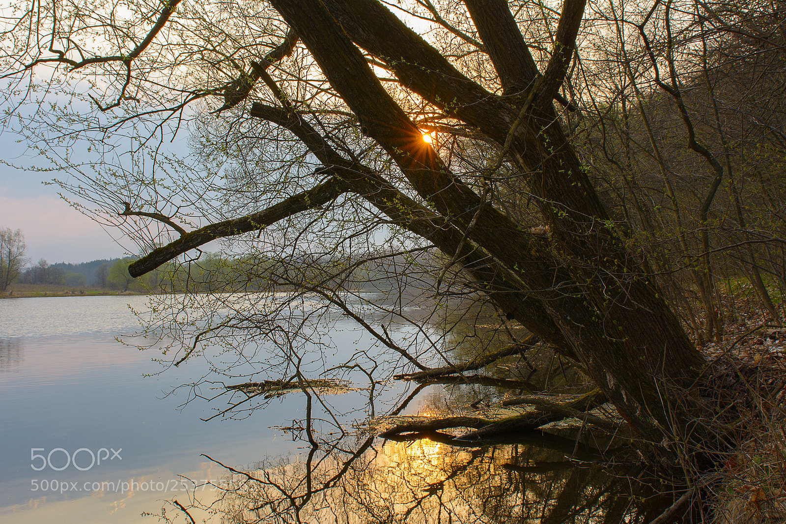 Nikon D7100 sample photo. Spring photography