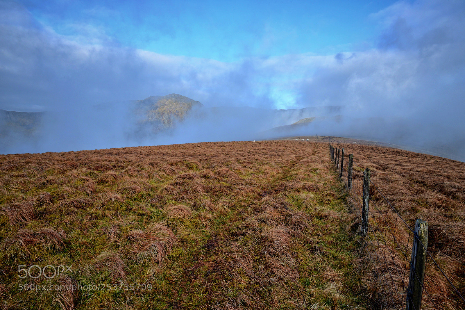 Nikon D610 sample photo. Welsh countryside photography