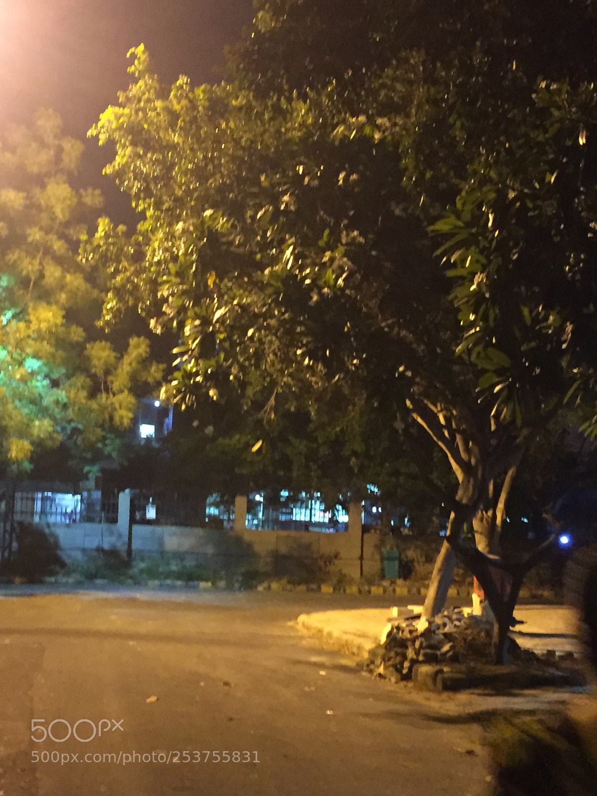 Apple iPhone 6 sample photo. Ñinja Ñight photography