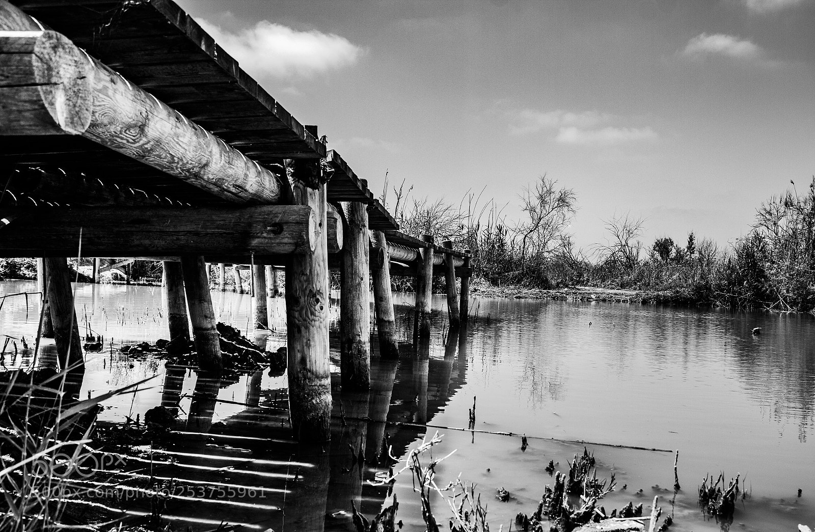 Canon EOS 60D sample photo. Untitled photography