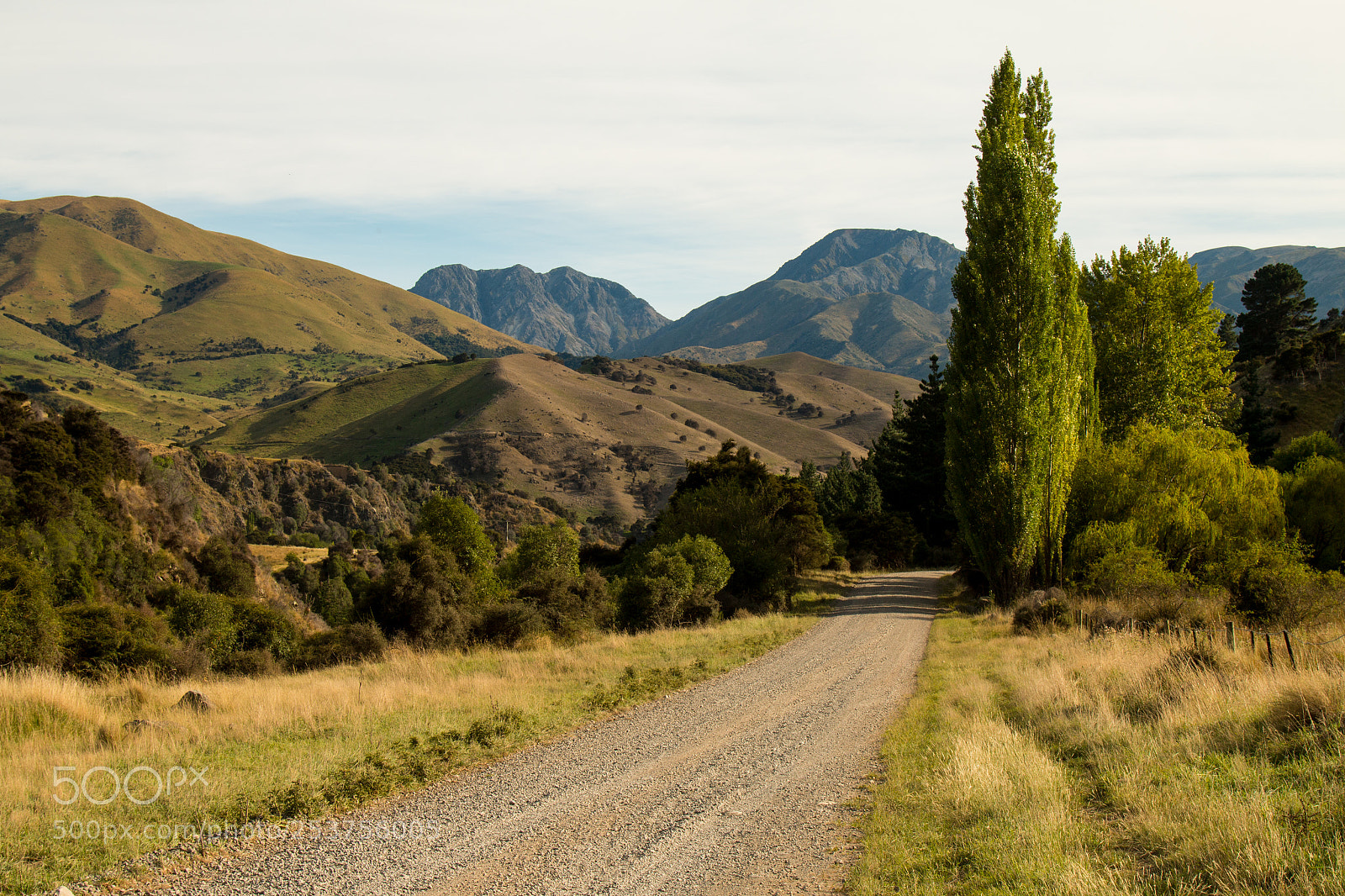 Canon EOS 70D sample photo. Molesworth track, south island photography