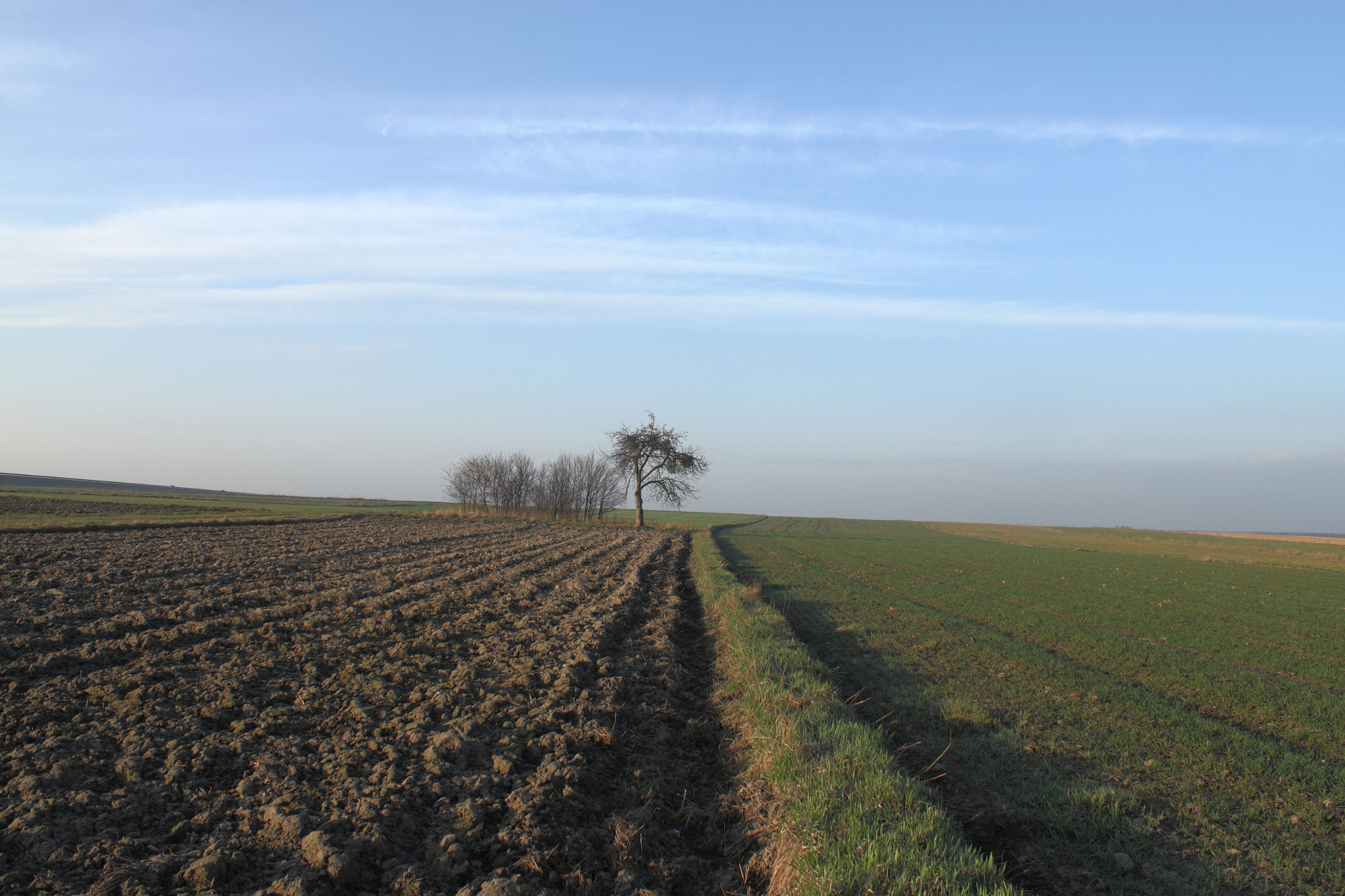 Canon EF-S 18-55mm F3.5-5.6 IS sample photo. A view with a tree photography