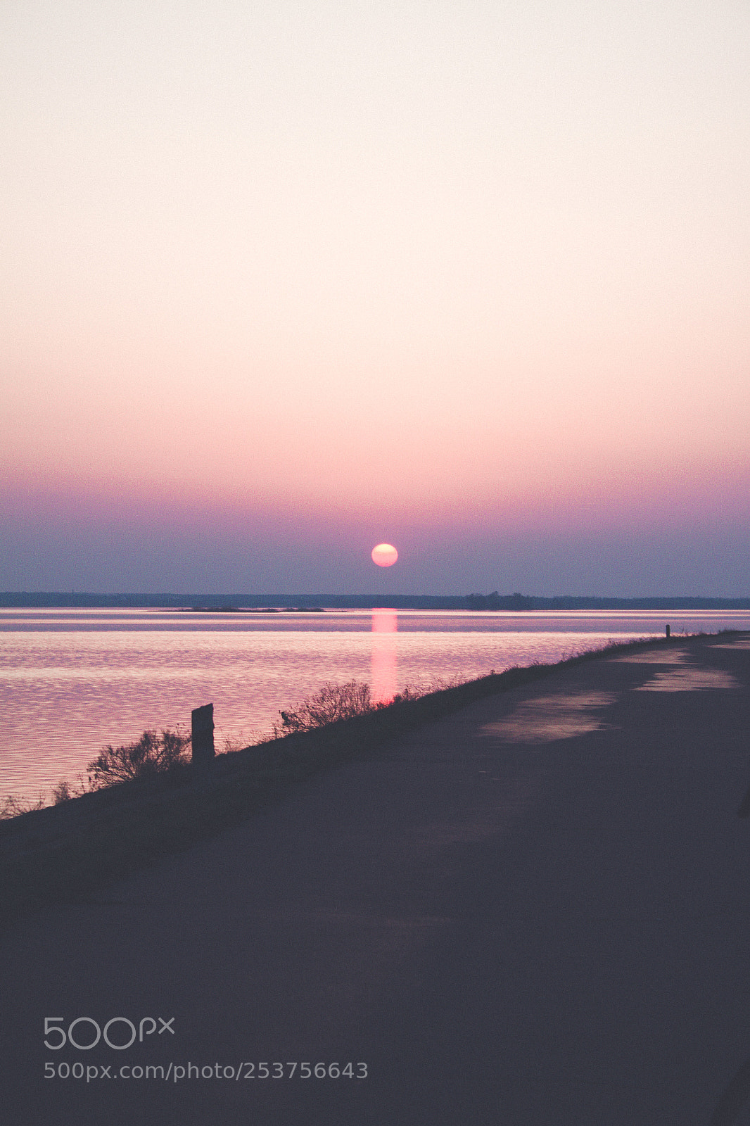 Canon EOS 50D sample photo. Untitled photography