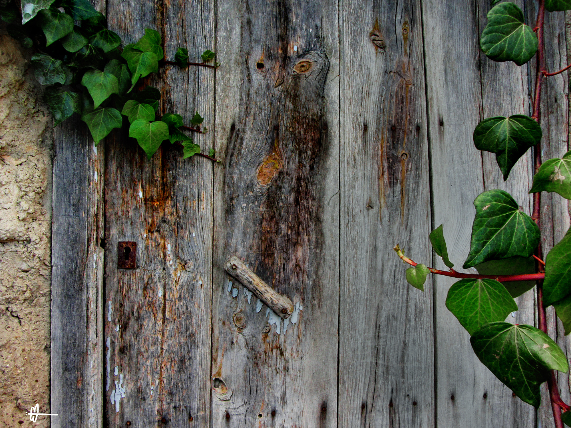 Canon PowerShot SX230 HS sample photo. Door of owl's house photography