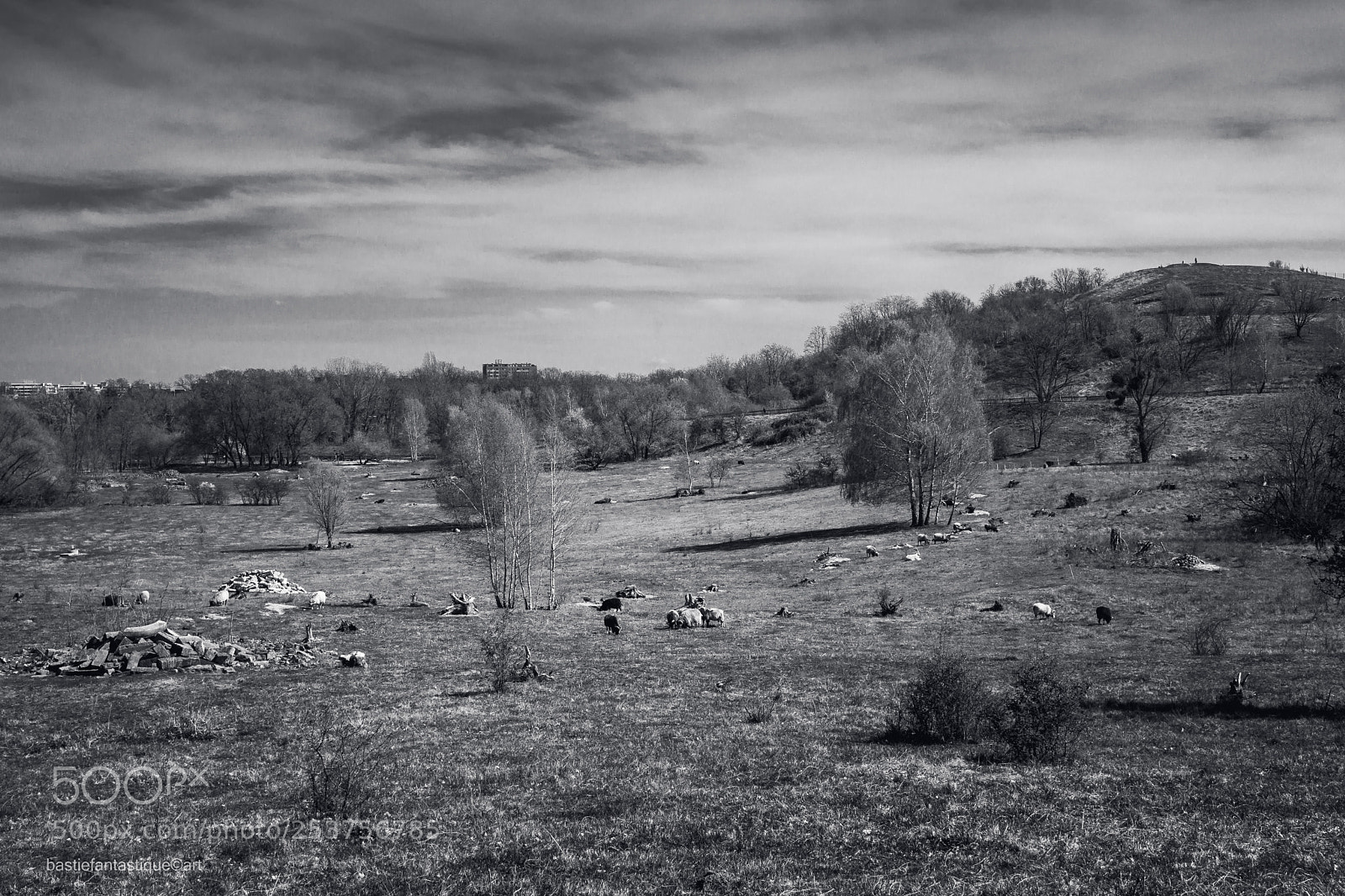 Sony a6000 sample photo. Hahneberg photography