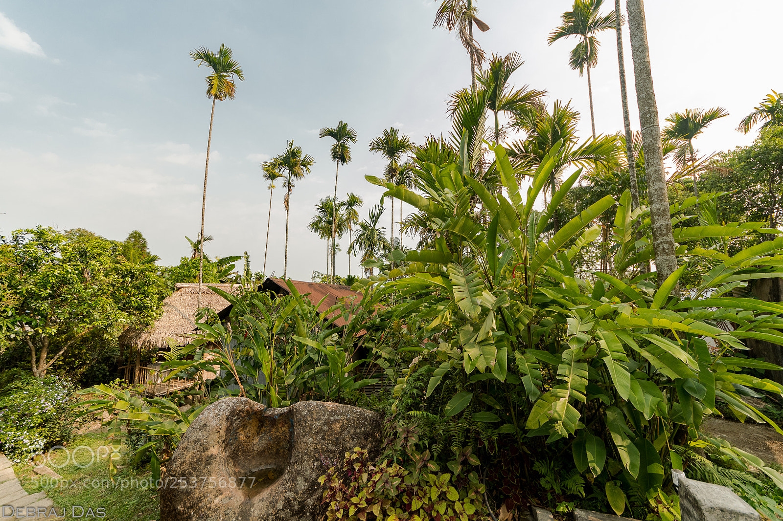Nikon D500 sample photo. Mawlynnong village photography