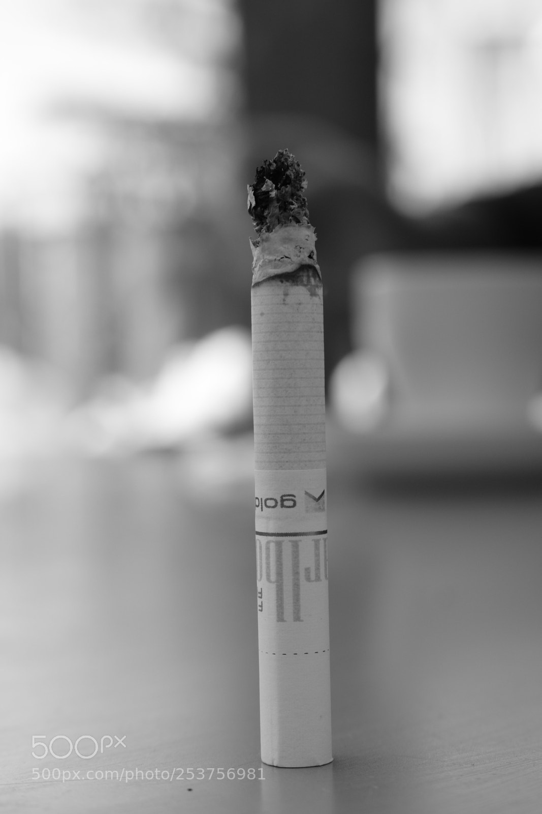 Nikon D5300 sample photo. Passing. photography