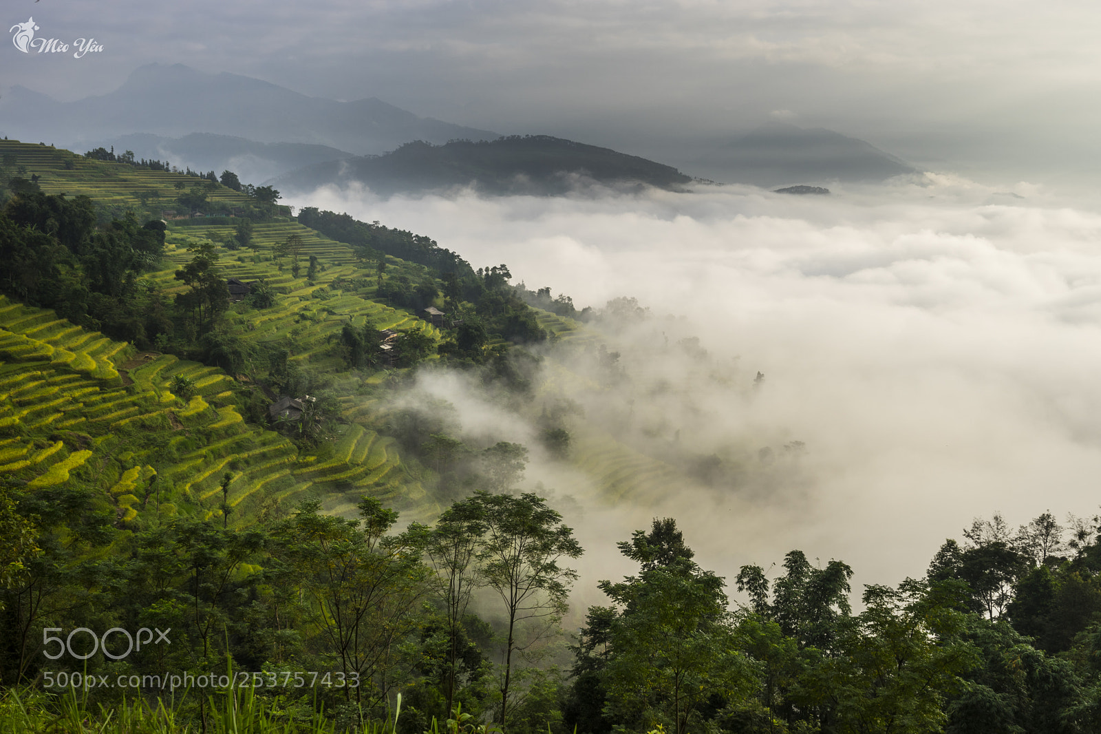 Sony a7 II sample photo. Clouds on terraced fileds photography