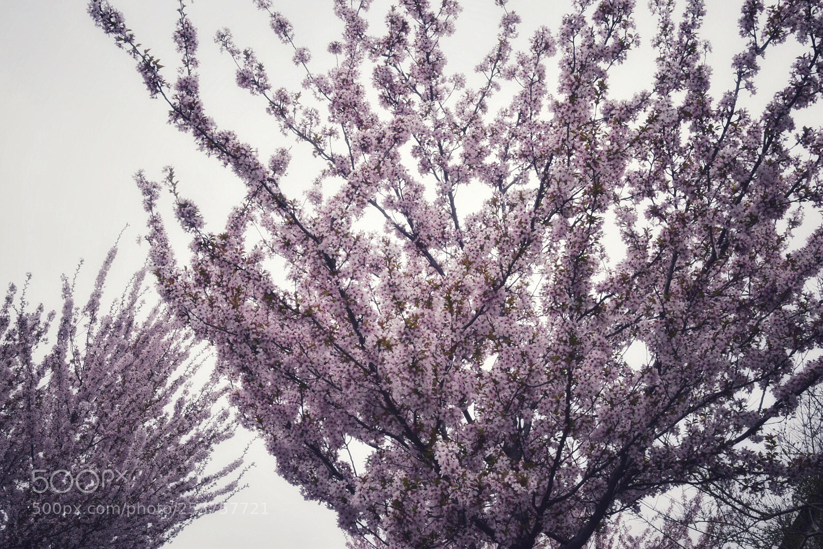 Nikon D5500 sample photo. Untitled photography