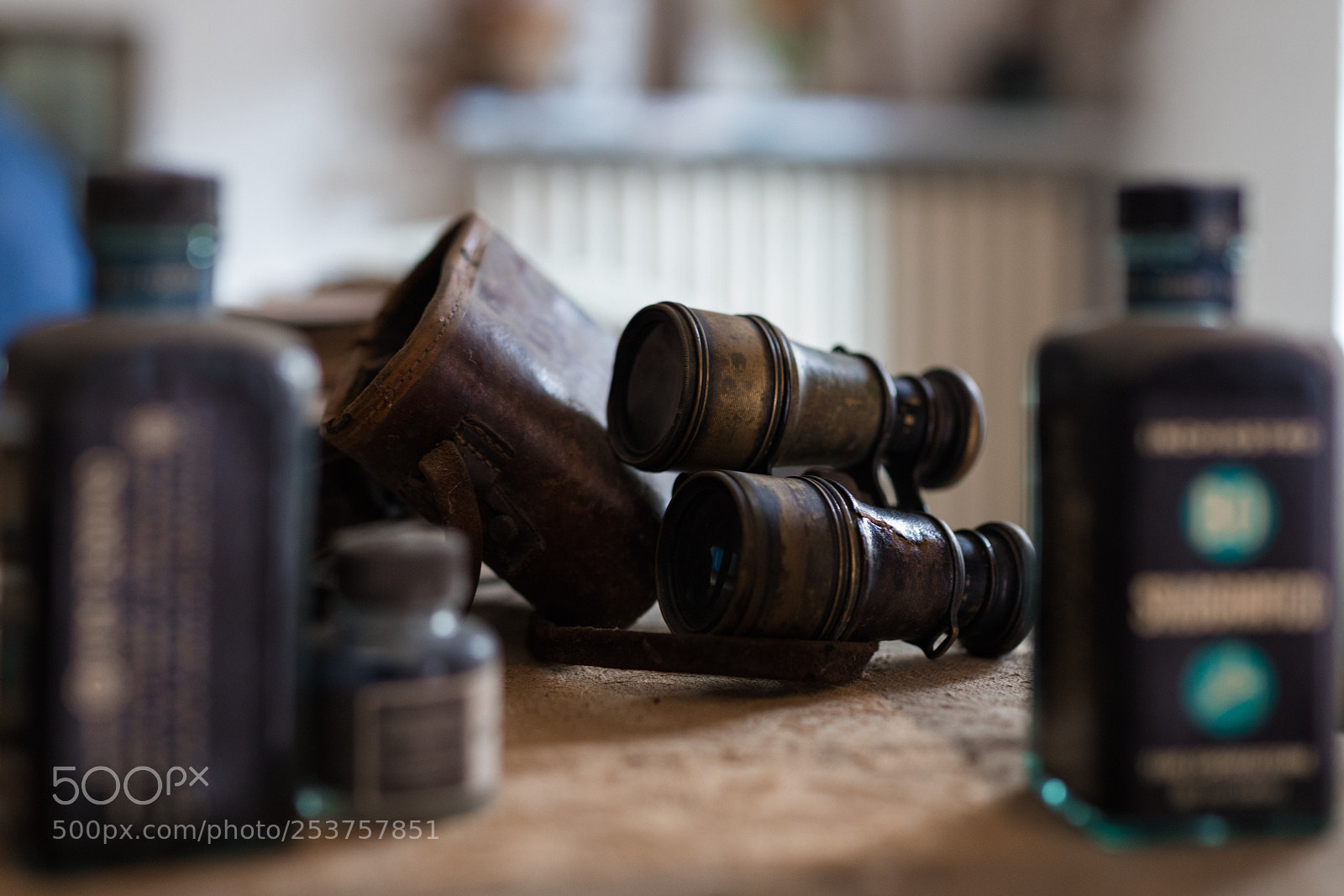 Canon EOS 5D Mark IV sample photo. Binoculars photography