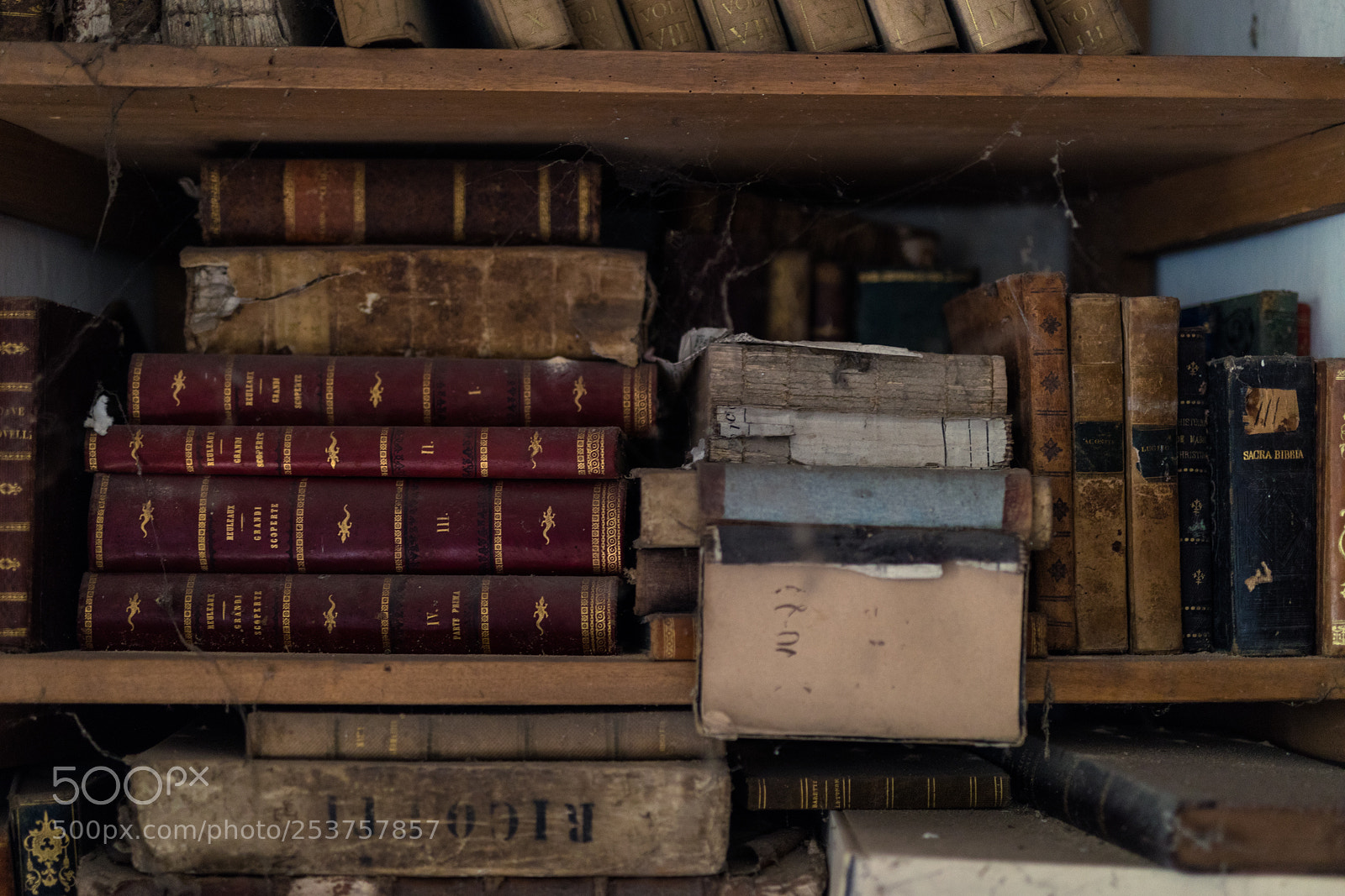 Canon EOS 5D Mark IV sample photo. Books photography