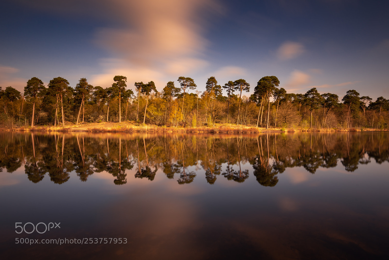 Nikon D610 sample photo. Van esschenven oisterwijk photography