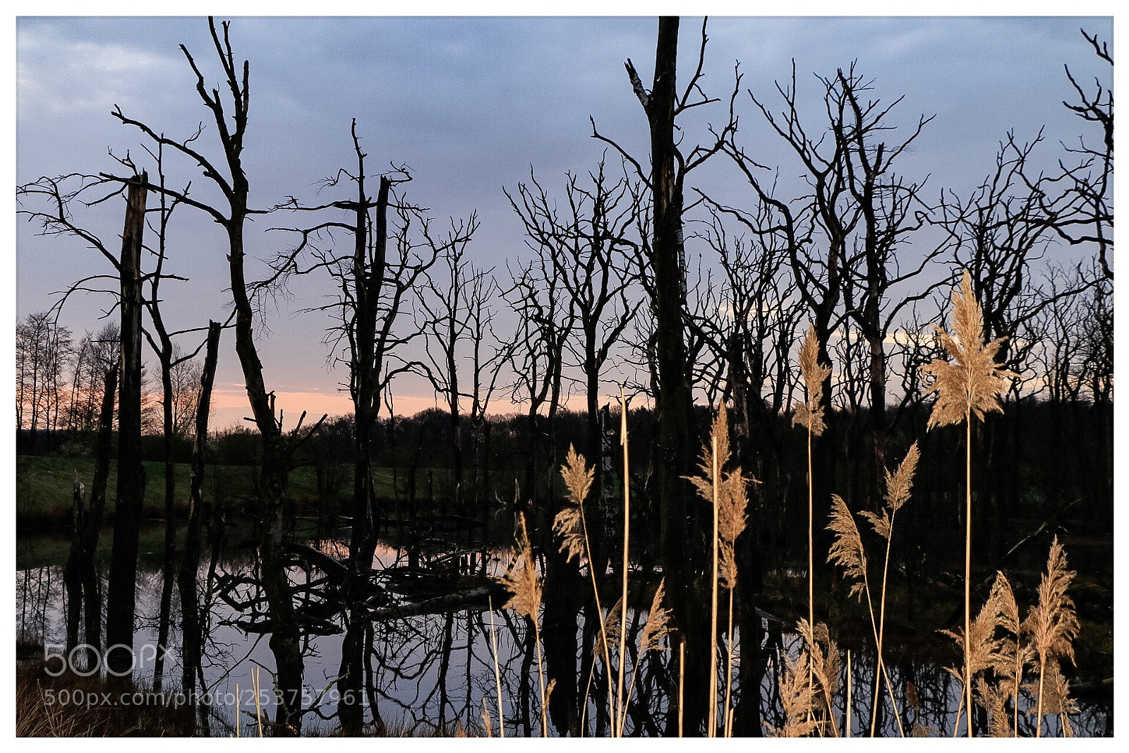 Canon EOS 70D sample photo. Rotbach ii photography