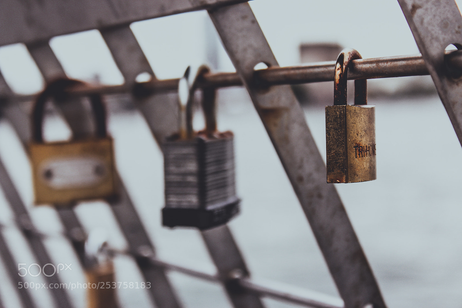 Canon EOS 1300D (EOS Rebel T6 / EOS Kiss X80) sample photo. Locks on a bridge photography