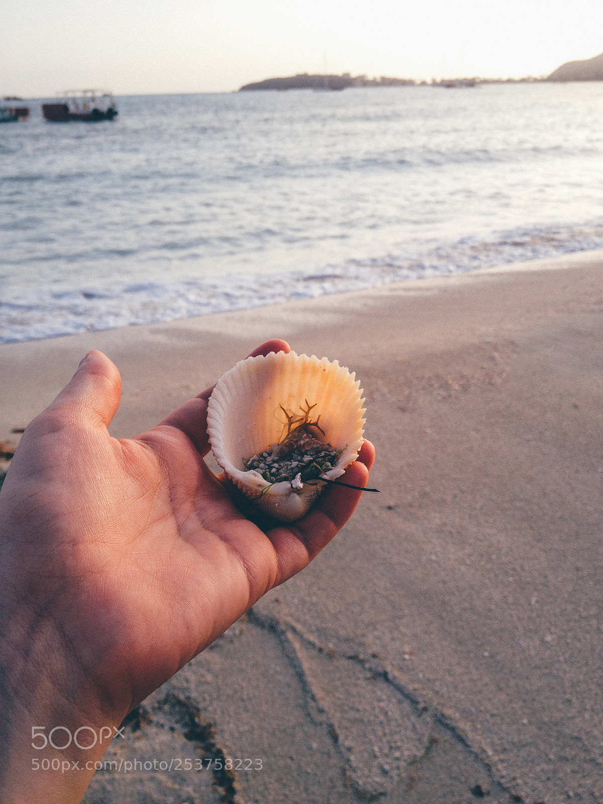 Apple iPhone 4S sample photo. Seashell in hand on photography
