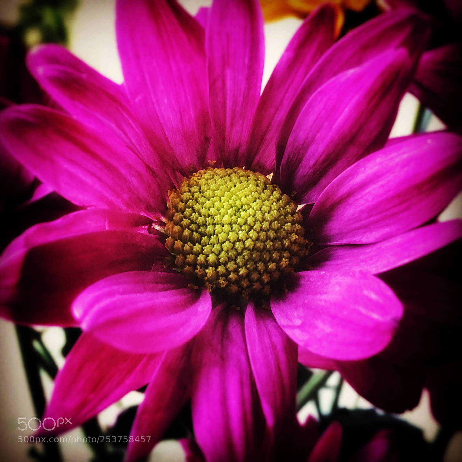 Apple iPhone X sample photo. Smile photography