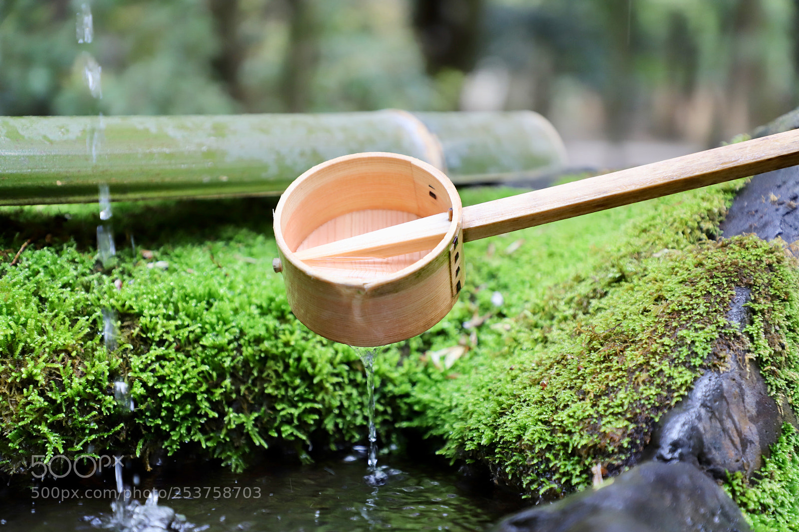 Canon EOS 6D Mark II sample photo. 御手洗 photography