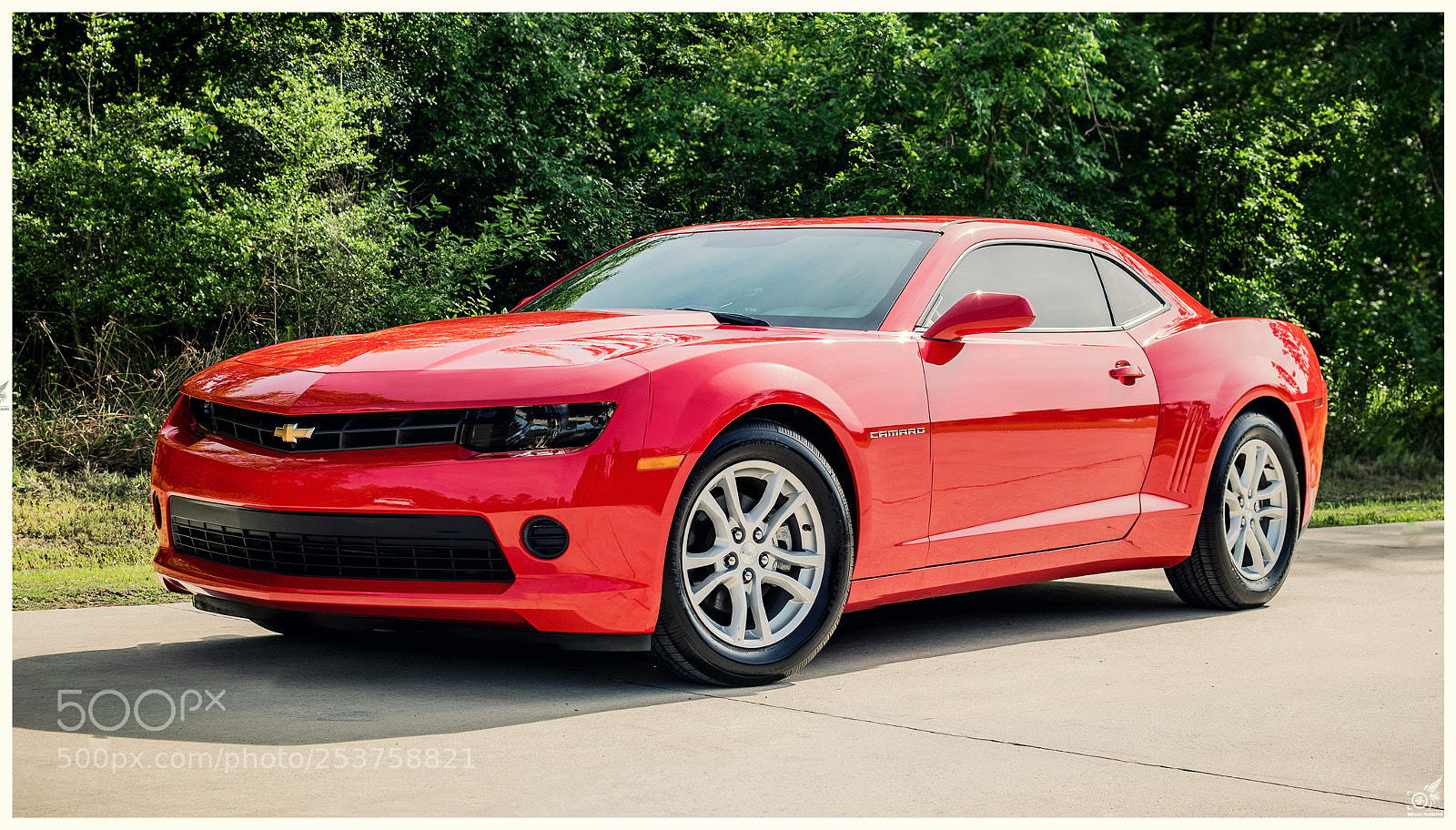 Nikon D3300 sample photo. 2015 camaro photography