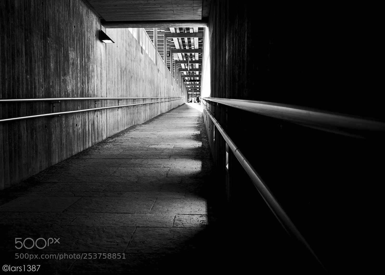 Fujifilm X-T1 sample photo. Into the light photography